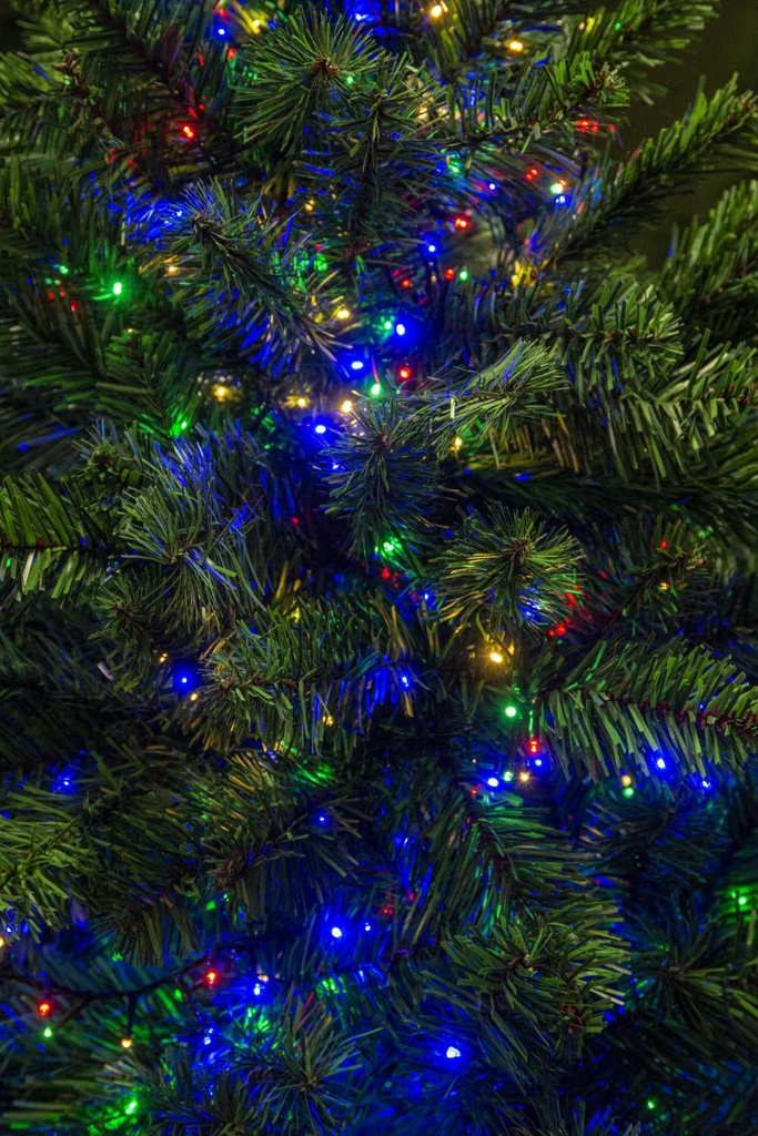 Luce filo 100 led multicolor con controller 8m