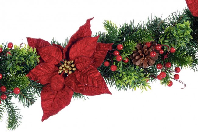 6x Boa Classical Poinsettia Rosso H180