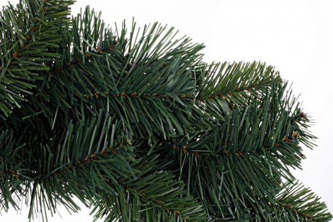 6x Corona Bellamonte D60