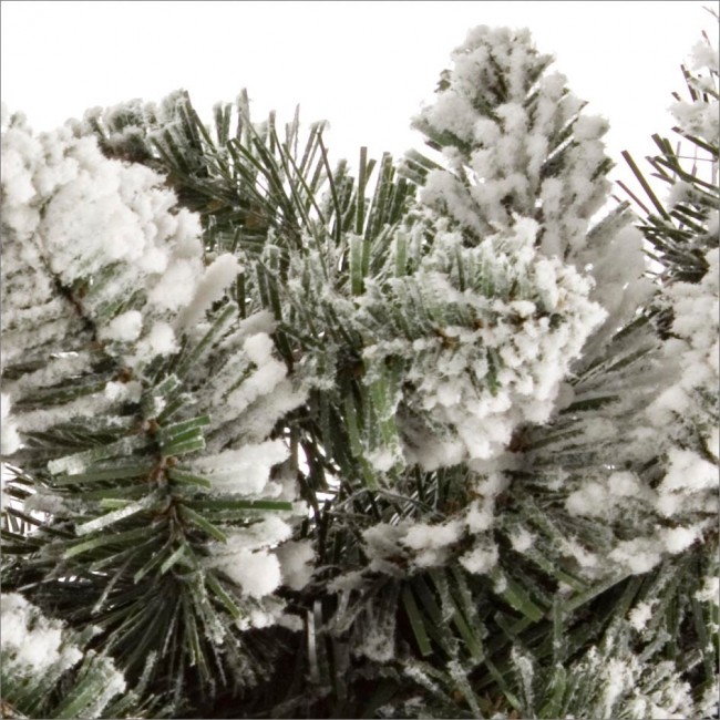 6x Festone Oregon H180