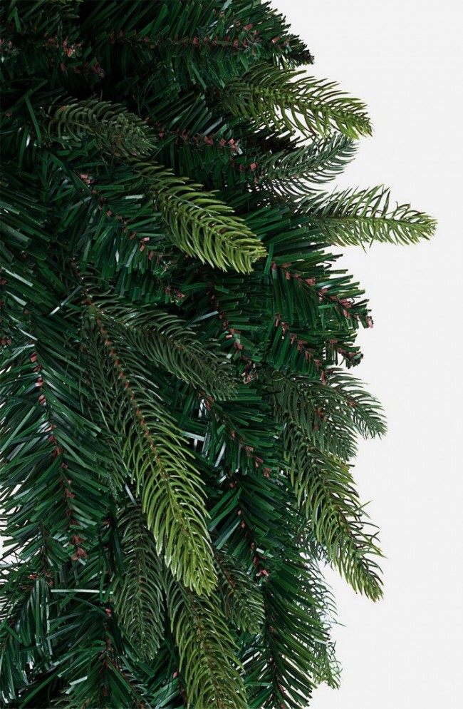 12x Corona Falcade D40