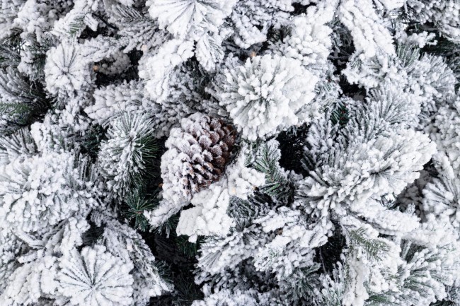 Albero Arves Fr Innevato H210-1936Rami