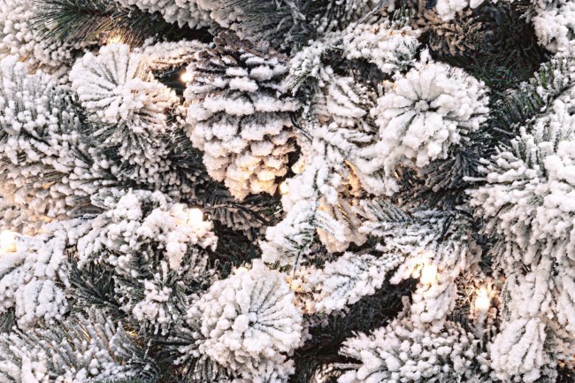 Albero Arves Innevato H240-2513Rami 450L