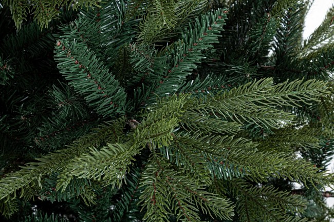 Albero Bernina H270-5171Rami