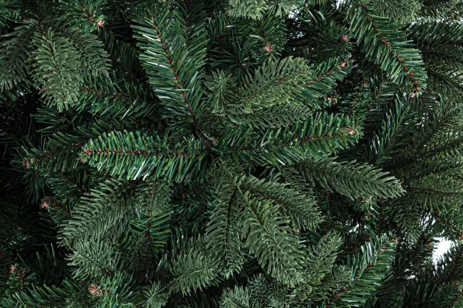 Albero Frejus Fr H150-1194Rami