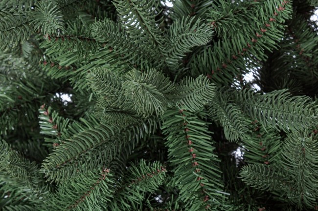 Albero Frejus H600-13428Rami