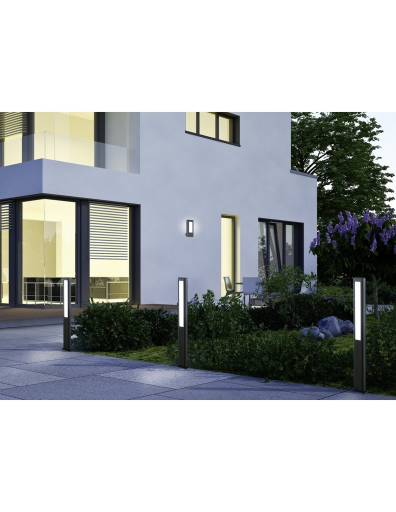 Palo Da Esterno Rhine Led IP54 Antracite H100 cm Trio Lighting