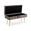 Panca in velluto con contenitore Grigio POLINA 80x34x h42 cm