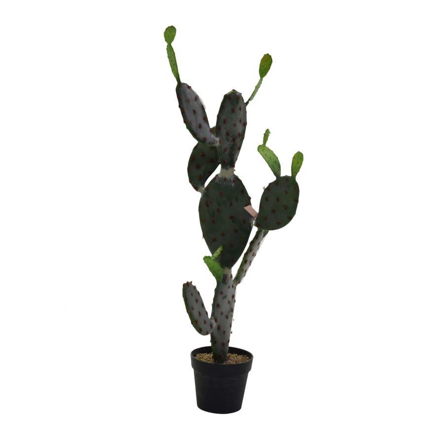 Pianta cactus con vaso nero cm 45 x 60 x h 119