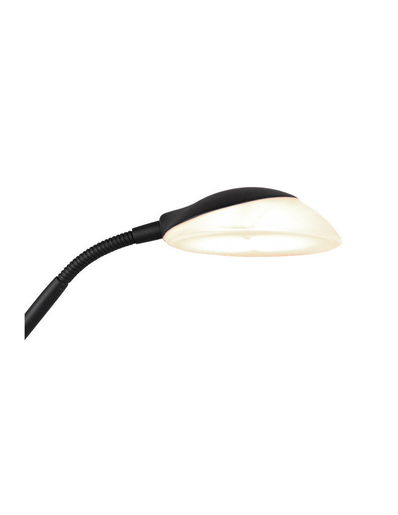 Piantana Led con Luce Spot da Lettura Orson Nero Trio Lighting