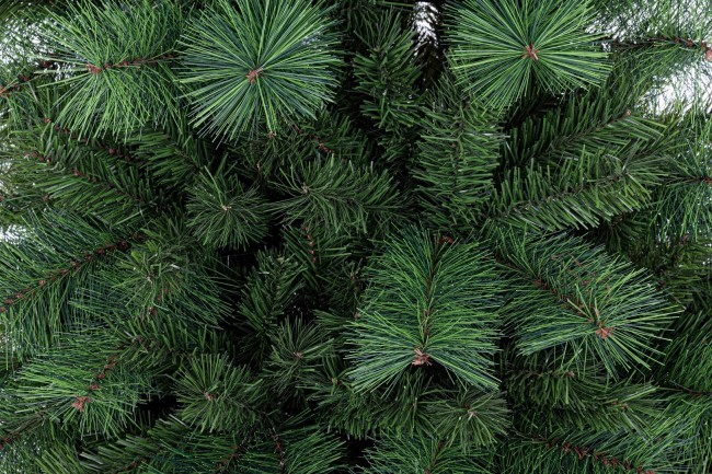 Albero Slim Alleghe H210-803Rami