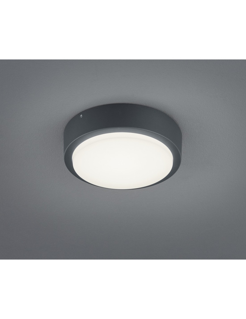 Plafoniera Da Esterno Breg Antracite IP54 Ø20 cm Trio Lighting
