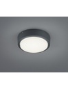 Plafoniera Da Esterno Breg Antracite IP54 Ø20 cm Trio Lighting