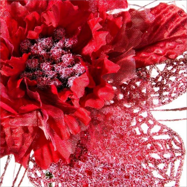 12x Pick Poinsezia Rosso