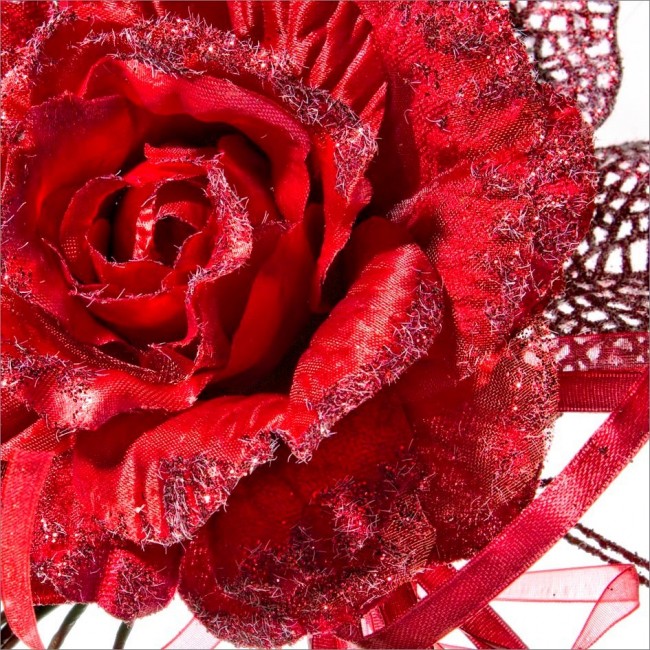 12x Pick Rosa Holly Rosso