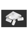 Plafoniera Quadrata 4 Faretti Orientabili Marley Bianco Trio Lighting