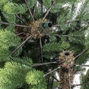 Albero monte amiata slim verde cmø31h180 con 524 rami