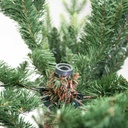 Albero monte baldo 1806 rami verde cm ø122h180