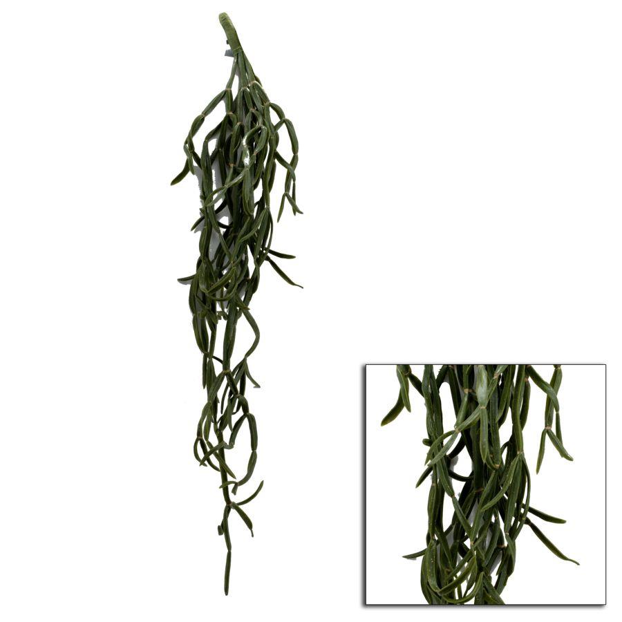 Hanging cactus branch cm10,2x10,2h76,2