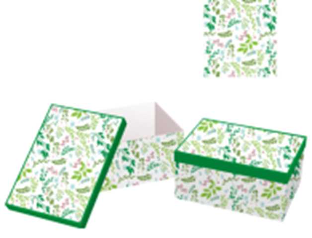 Cardboard box 1-10 green white rectangular leaves cm37,5x29h16