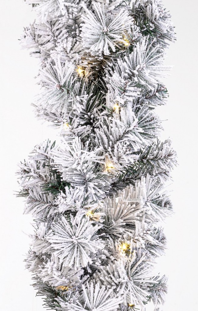 2x Boa Thurn Innevato H270 C