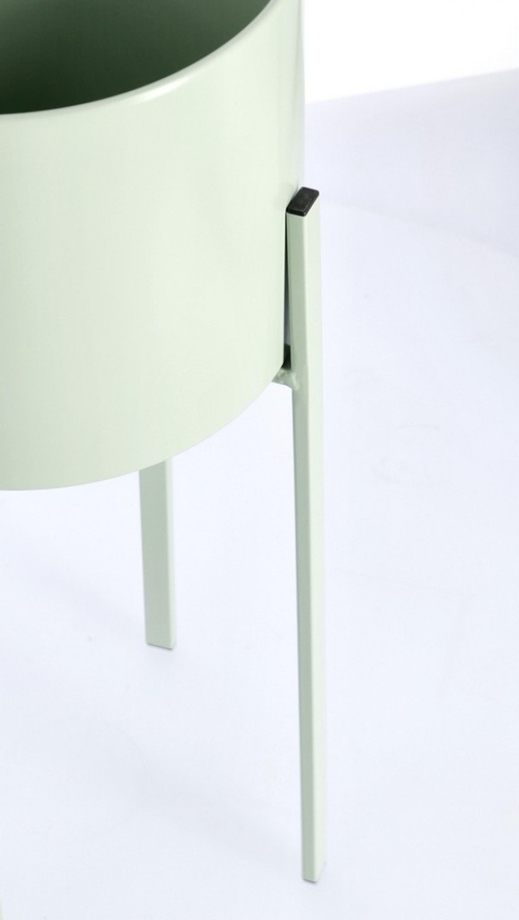 Set2 P.Fiore Ester To Verde Salvia