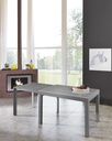 Tavolo allungabile con top in vetro temperato grigio 120/175/230/290/350x75h cm