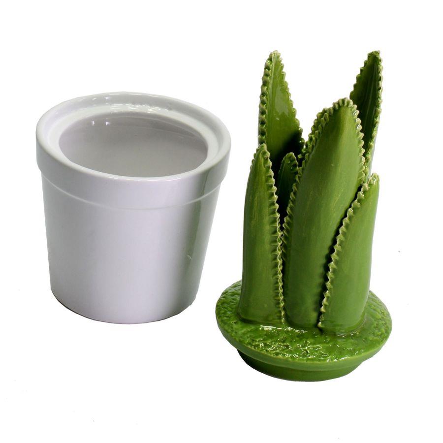 Vaso ceramica con cactus tondo cmø11,5h26,5
