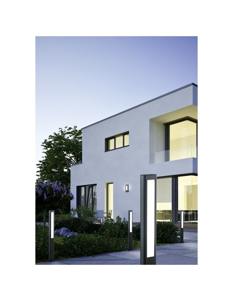 Applique Da Esterno Rhine Led IP54 Antracite H25 cm Trio Lighting