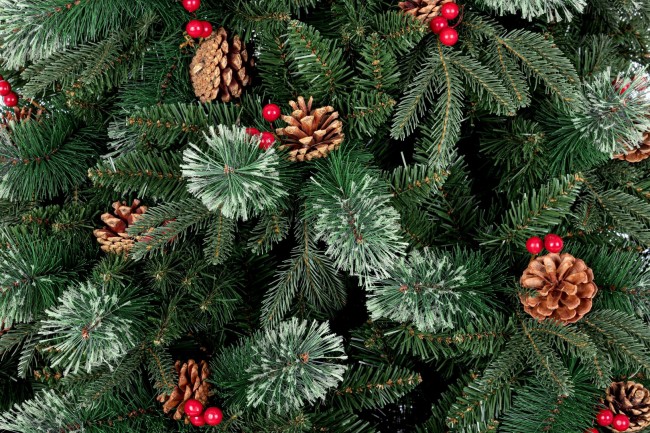 Albero Molveno C-Bacche H270-3964Rami - Samnite