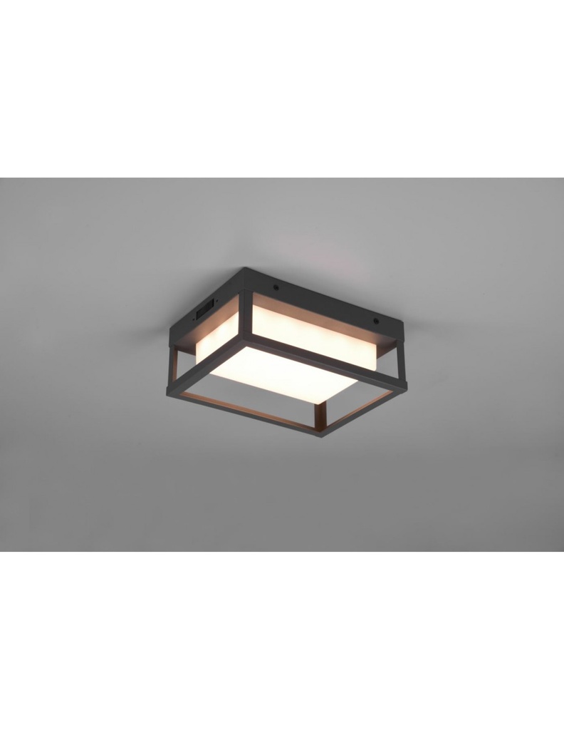 Applique Esterno Led Dip Switch Witham Antracite IP54 Trio Lighting - Samnite