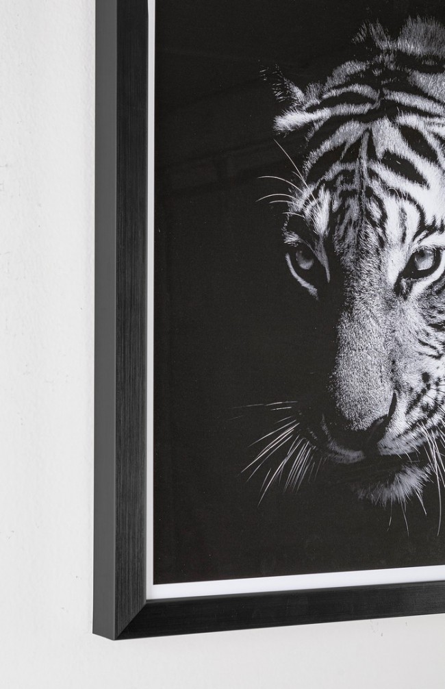 2x Quadro C-C Evidence 105 43X43