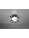 Applique-Plafoniera Gabbia 1xG9 Nero Opaco 14x14 cm Trio Lighting - Samnite