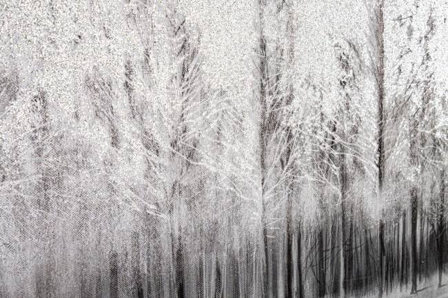 Dipinto con cornice Gallery 956 80x60  Cod.0240966 - Samnite