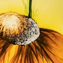 Pannello decorativo con finitura in legno giallo 60x120x4 cm - Samnite