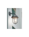 Applique da Ingresso Duero Antracite Lanterna Vetro Trio Lighting