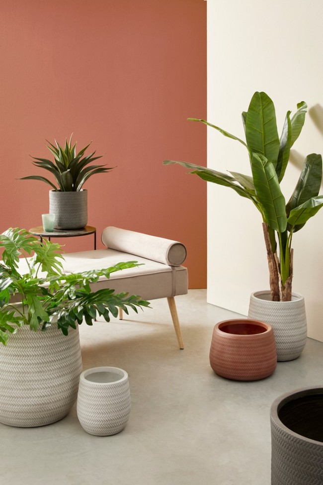 Set3 P.Vaso Tressage To Terracotta - Samnite