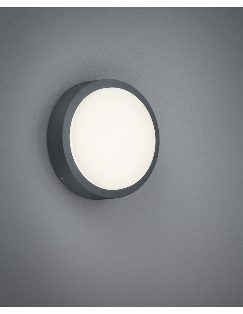 Plafoniera Da Esterno Breg Antracite IP54 Ø20 cm Trio Lighting - Samnite