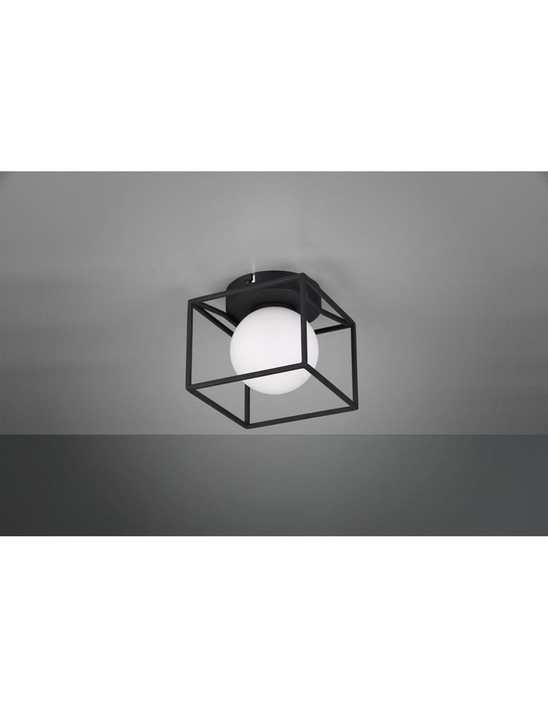 Applique-Plafoniera Gabbia 1xG9 Nero Opaco 14x14 cm Trio Lighting