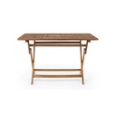 Tavolo da giardino Pieghevole Rettangolare 120x70x h73 cm - Samnite