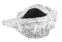Vaso Conchiglia Magnesia 68x38 cm - Samnite