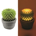 Candela Led Cactus con vaso cm 23 x 28 h