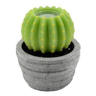 Candela Led Cactus con vaso fontana cm 23 x 28 h
