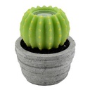Candela Led Cactus con vaso fontana cm 23 x 28 h
