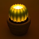 Candela Led Cactus con vaso fontana cm 23 x 28 h