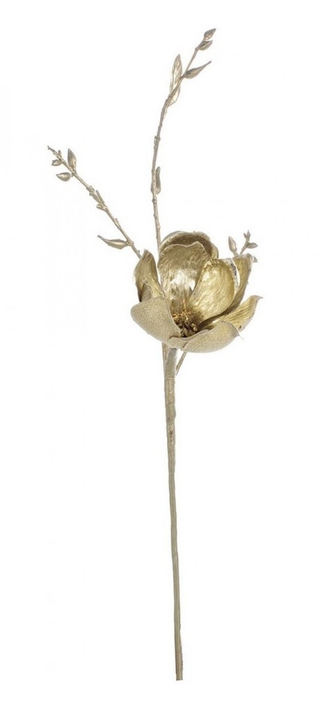 12x Pick Nature Magnolia Foglie Champagne