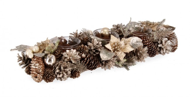 4x P.Candela 3P Alara Rett Poinsettia Champ