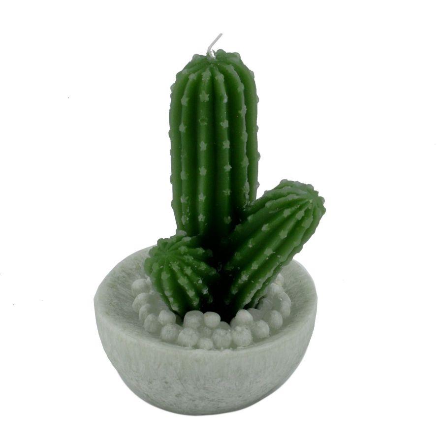 Candela Cactus Verde Tondo 10.5x17 cm