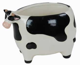 Caspo' mucca so-8065 31 x 19 h 22