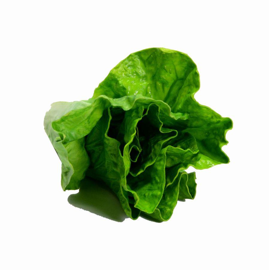Decorazione vegetale artificiale lattuga 15x9x9 cm